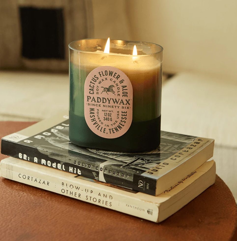 Vista 12 oz Candle - Cactus Flower + Aloe