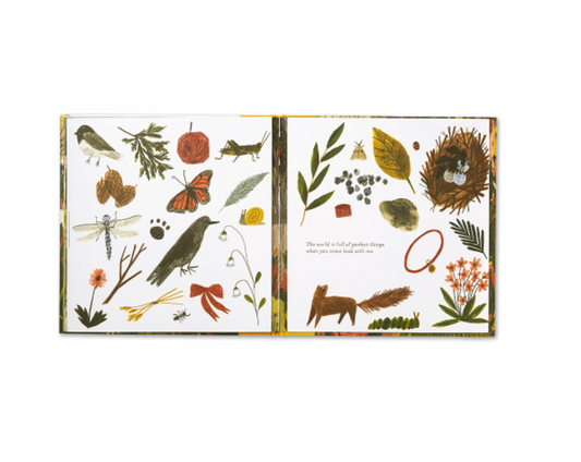 Tiny, Perfect Things