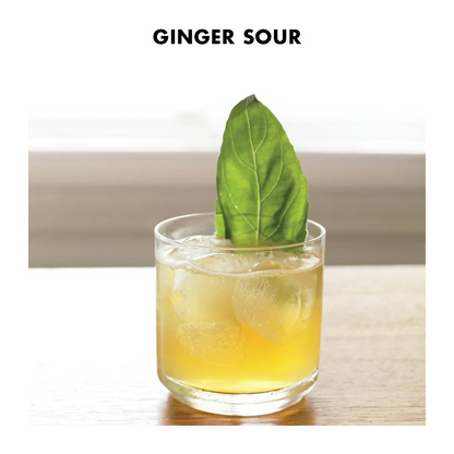 Whiskey Lover Craft Cocktail Infusion Kit